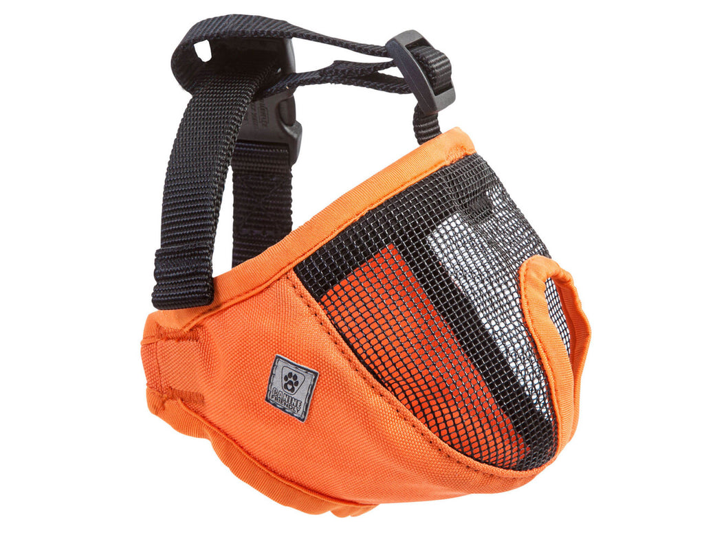 RC Pets Short Snout Muzzle