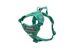 RC Pets Momentum Control Harness