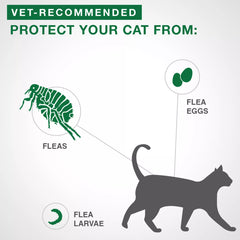Advantage II Large Cat Once-A-Month Topical Flea Treatment - Over 4 kg