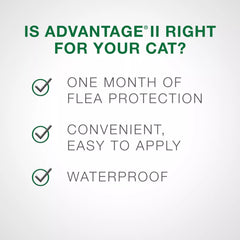 Advantage II Large Cat Once-A-Month Topical Flea Treatment - Over 4 kg