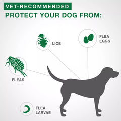 Advantage II Extra Large Dog Once-A-Month Topical Flea Treatment - Over 25 kg