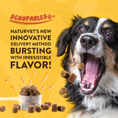 Naturvet Scoopables Advanced Probiotics & Enzymes Supplement for Dogs