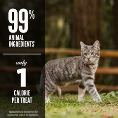 Orijen Freeze Dried Six Fish Cat Treats