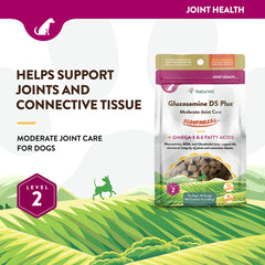 Naturvet Scoopables Glucosamine DS Plus Moderate Joint Care Supplement for Dogs