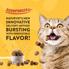 Naturvet Scoopables Hairball Aid Daily Support + Pumpkin for Cats