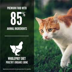 Orijen Fit & Trim Cat