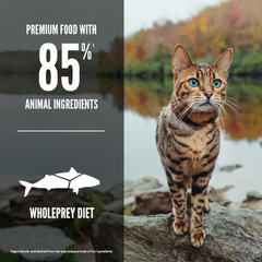 Orijen Six Fish Cat