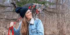 RC Pets Adventure Kitty Harness