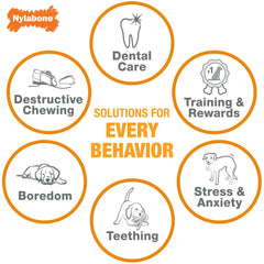 Nylabone Just for Puppies Teething Chew Toy Keys