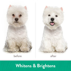 Tropiclean Awapuhi & Coconut Whitening Shampoo for Pets 20oz
