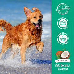 Tropiclean Oatmeal & Tea Tree Medicated Itch Relief Dog & Cat Shampoo 20oz