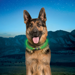 Niteize NiteHowl Rechargeable LED Safety Necklace