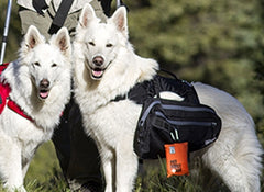 CE Ultimate Trail Dog Backpack L Red 35"- 44" 80lbs. plus