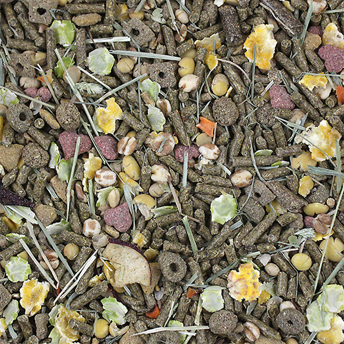 Vitasmart guinea pig 2024 food