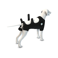 Acorn Recovery Vest with Dog Calming Discs