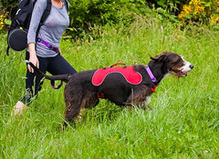 CE Ultimate Trail Dog Backpack L Red 35"- 44" 80lbs. plus
