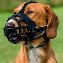 Company of Animals Baskerville Muzzle