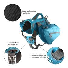 Kurgo Baxter Backpack