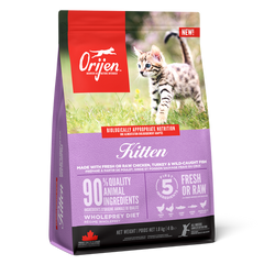 Orijen Kitten