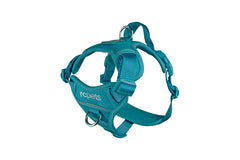 RC Pets Momentum Control Harness