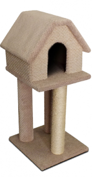 Wonder Pet Wonder Scratch Home