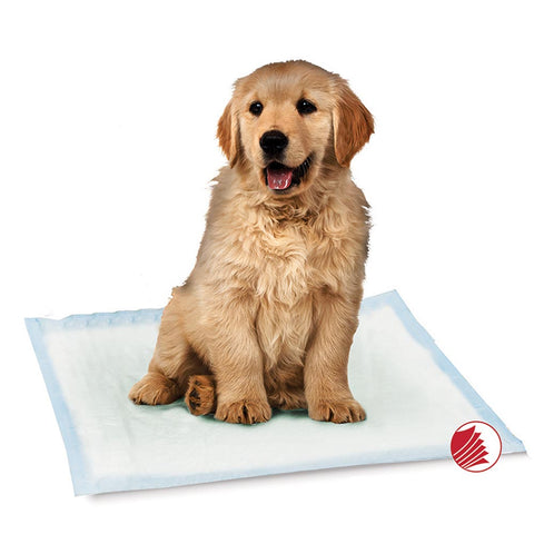 Simply Essential Training Pads 22x 22" 50pk