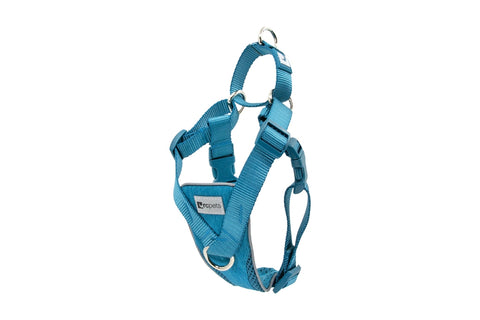 RC Pets Tempo No Pull Harness