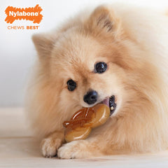 Nylabone Power Chew Pretzel Bacon Peanut Butter Extra Large / Souper