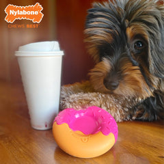 Nylabone Power Chew Donut Bacon Glazed Medium / Wolf