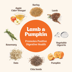 Northern Softies Lamb & Pumpkin 170g