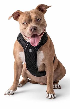 GF Pet Travel Harness