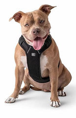 GF Pet Travel Harness