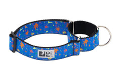 RC Pets All Webbing Training Collar