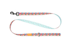 RC Pets Eco Leash Collection