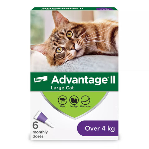 Advantage II Large Cat Once-A-Month Topical Flea Treatment - Over 4 kg