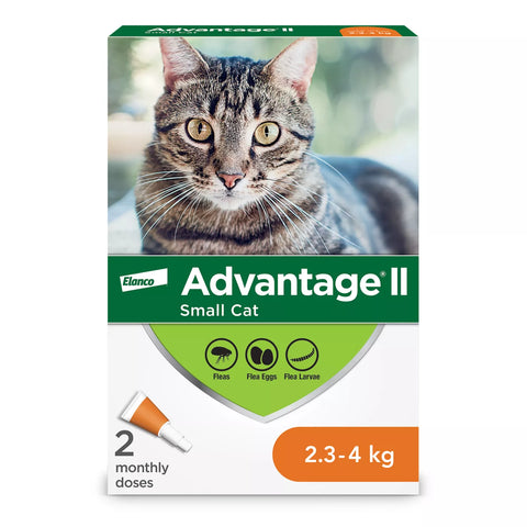 Advantage II Small Cat Once-A-Month Topical Flea Treatment - 2.3 to 4 kg