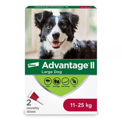 Advantage II Large Dog Once-A-Month Topical Flea Treatment - 11 to 25 kg