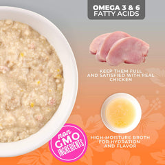Tiki Cat Silver Pate Chicken Recipe in Broth Wet Cat Food 2.4oz