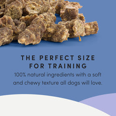 Crumps' Naturals Semi Moist Beef Mini Trainers 132g