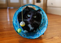 Mutlipet Margaritaville Cat Tunnel 35"