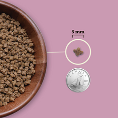 Acana Highest Protein, Kitten Recipe
