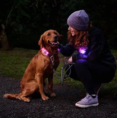 RC Pets Nova LED Light Collar