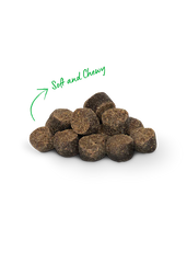 Open Farm Be Good Bites Wild Caught Salmon Recipe Treats 6oz
