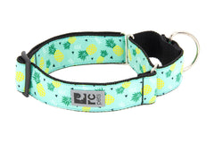 RC Pets All Webbing Training Collar