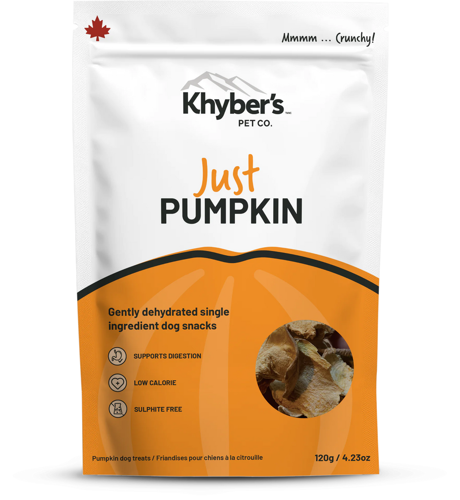 Khyber's Tail Bites Single Ingredient Just Pumpkin 120g