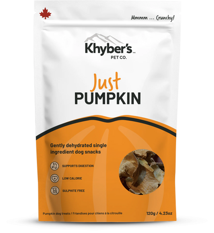 Khyber's Tail Bites Single Ingredient Just Pumpkin 120g