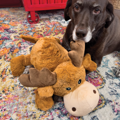Kong Cozie Jumbo Marvin Moose Dog Toy