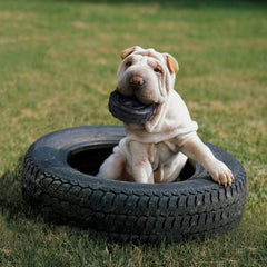 Kong Extreme Tires M-L