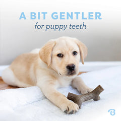Benebone Puppy MapleStick Dog Chew S