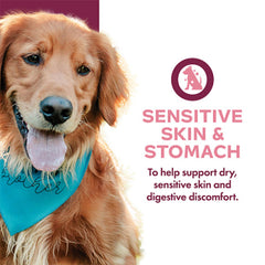 Fromm Nutritionals Sensitive Skin & Stomach Pâté Wet Dog Food 13oz